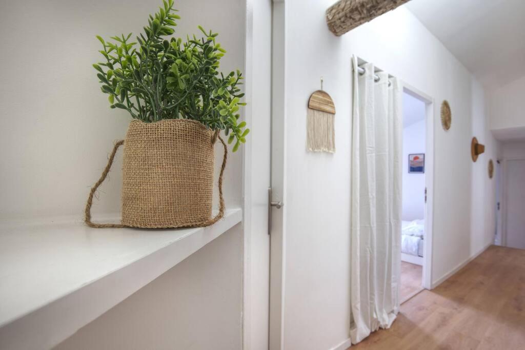 Superbe Appartement, Hypercentre, 4Chambres. เบซิเยร์ ภายนอก รูปภาพ